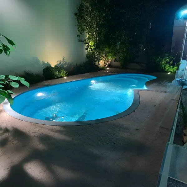 الدولفين D006