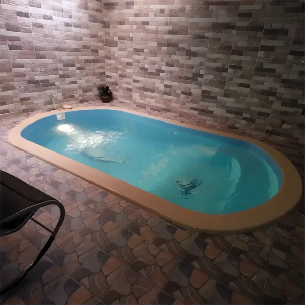 الدولفين D010