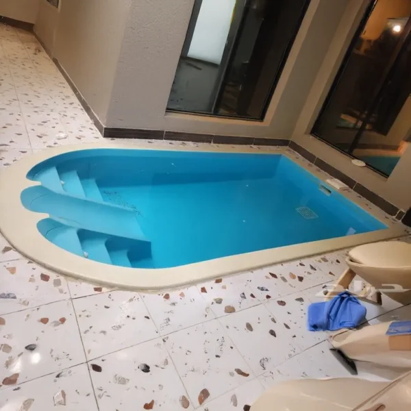 الدولفين D011