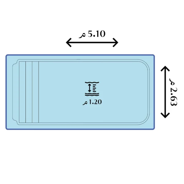 الدولفين D012