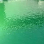 تغير لون ماء المسبح