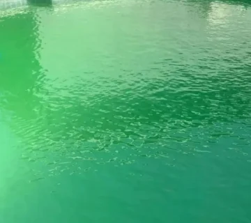 تغير لون ماء المسبح
