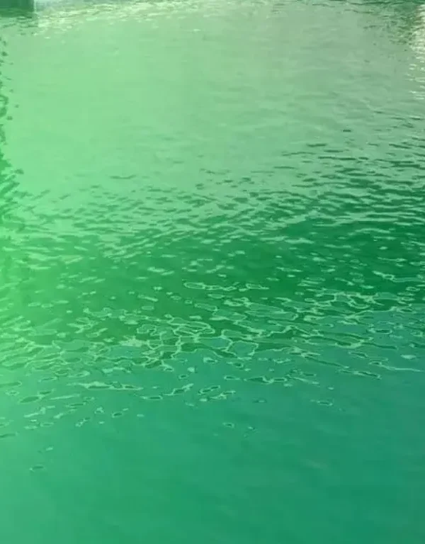 تغير لون ماء المسبح